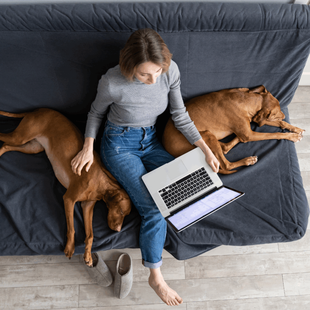 Woman Using Laptop Besides Pet Dogs