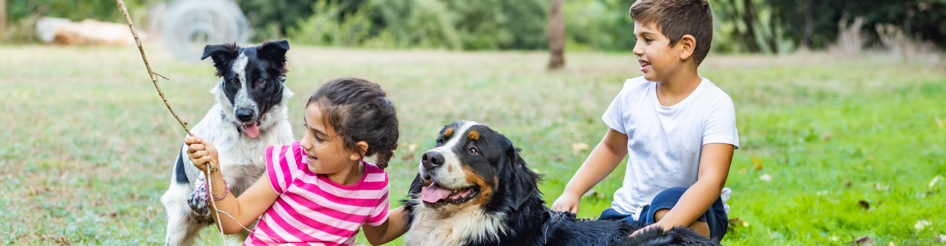 Kids Playing with Dogs Outdoors
