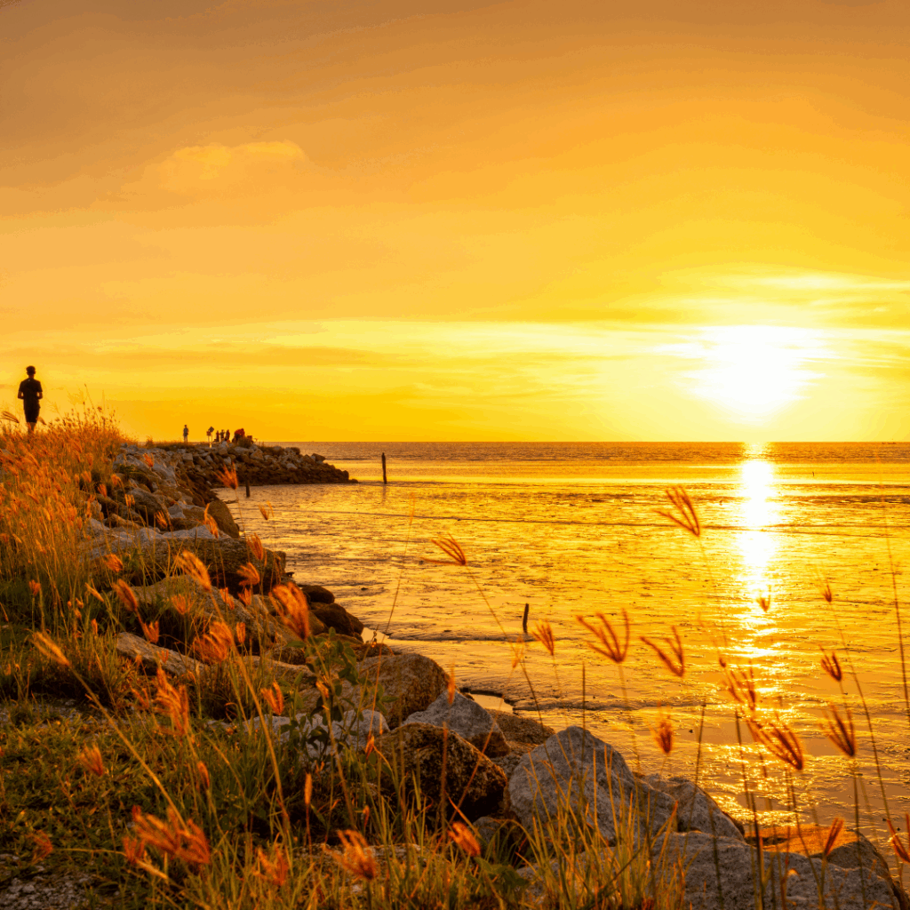People are walking towards the sunset by the ocean.