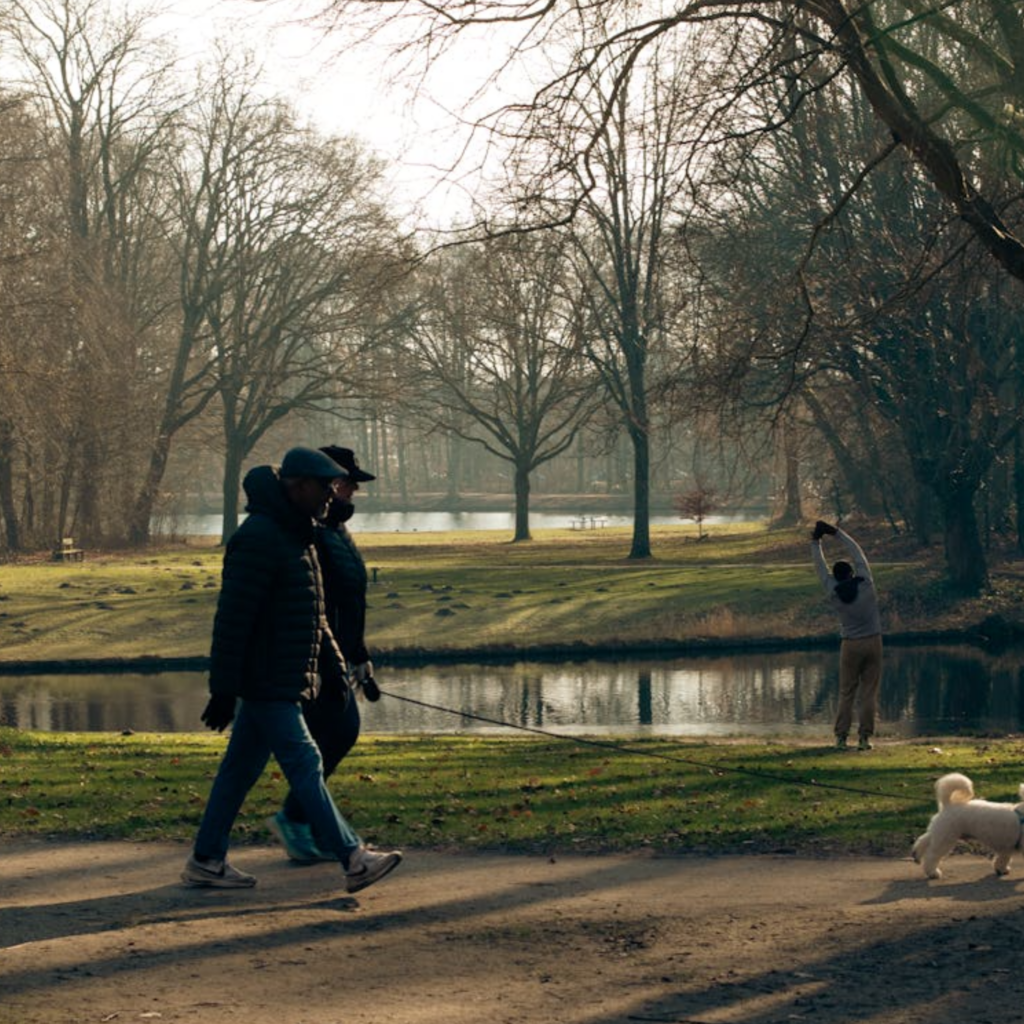 Peaceful Morning Walk in Den Haag Park